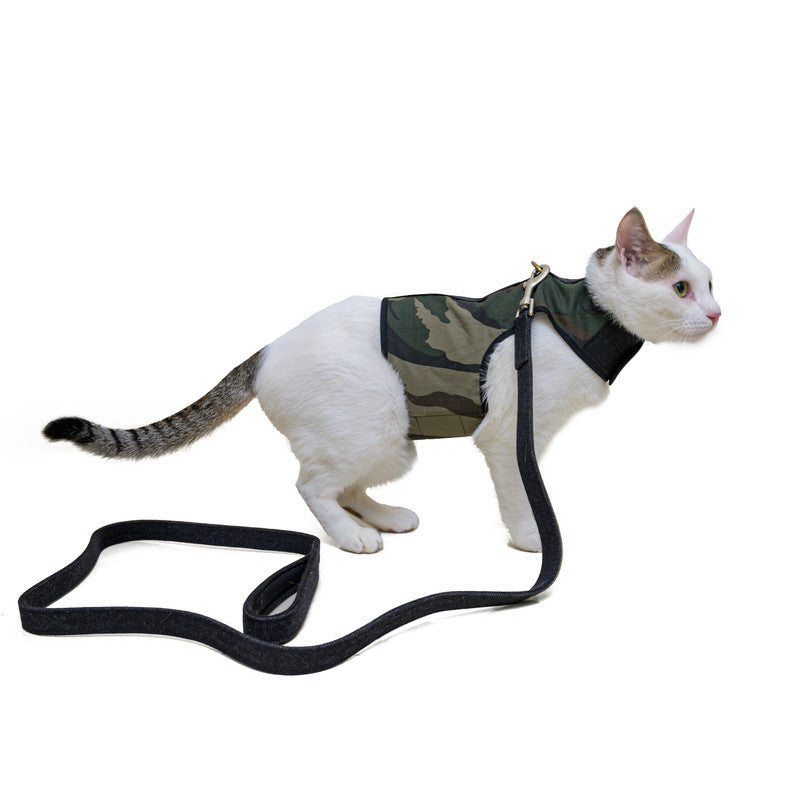 Cat Harnesses