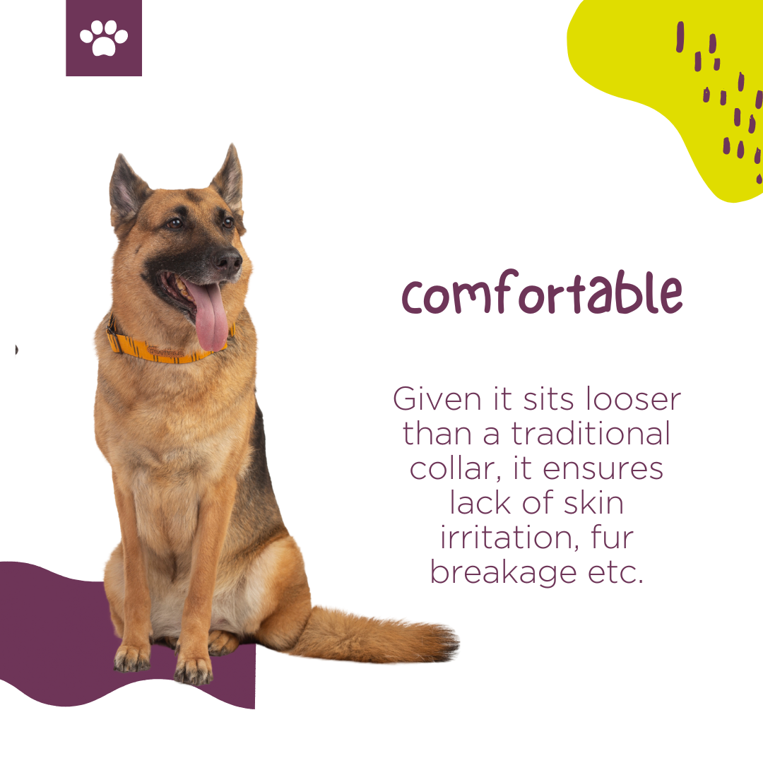 Tiger Print Fabric Martingale Collar
