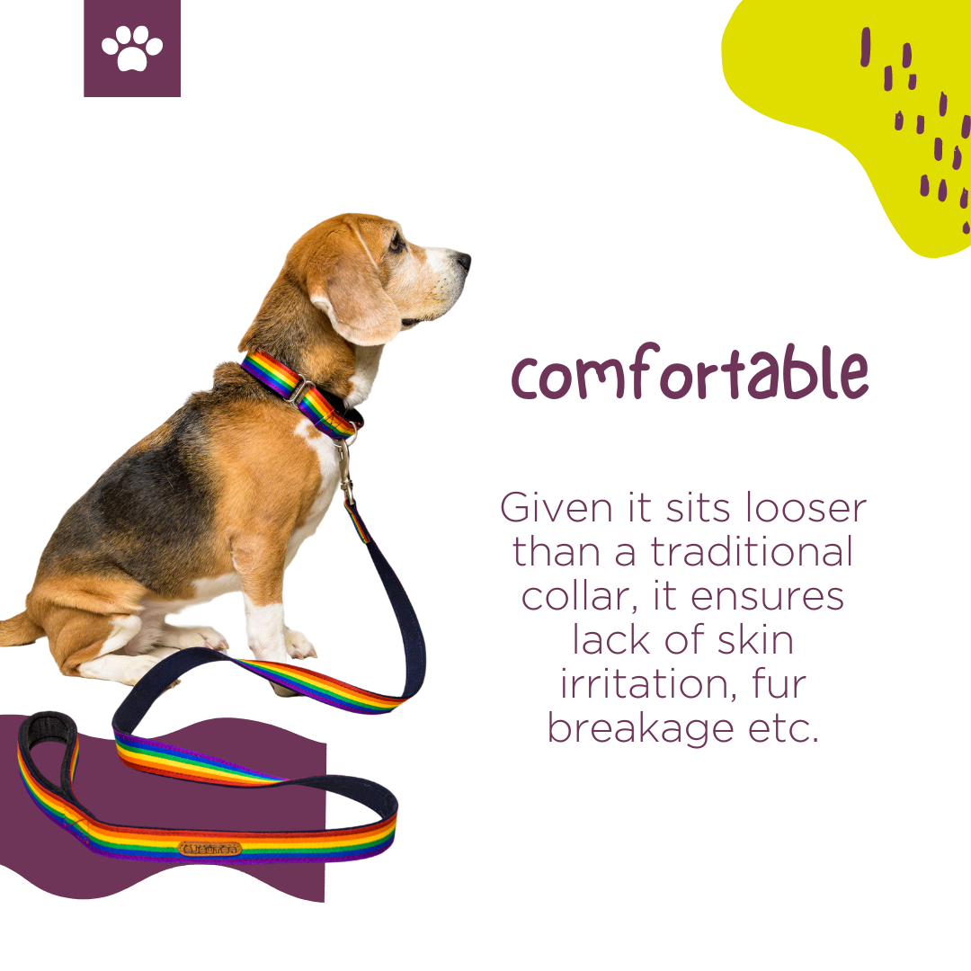 Rainbow Pride Fabric Martingale Collar