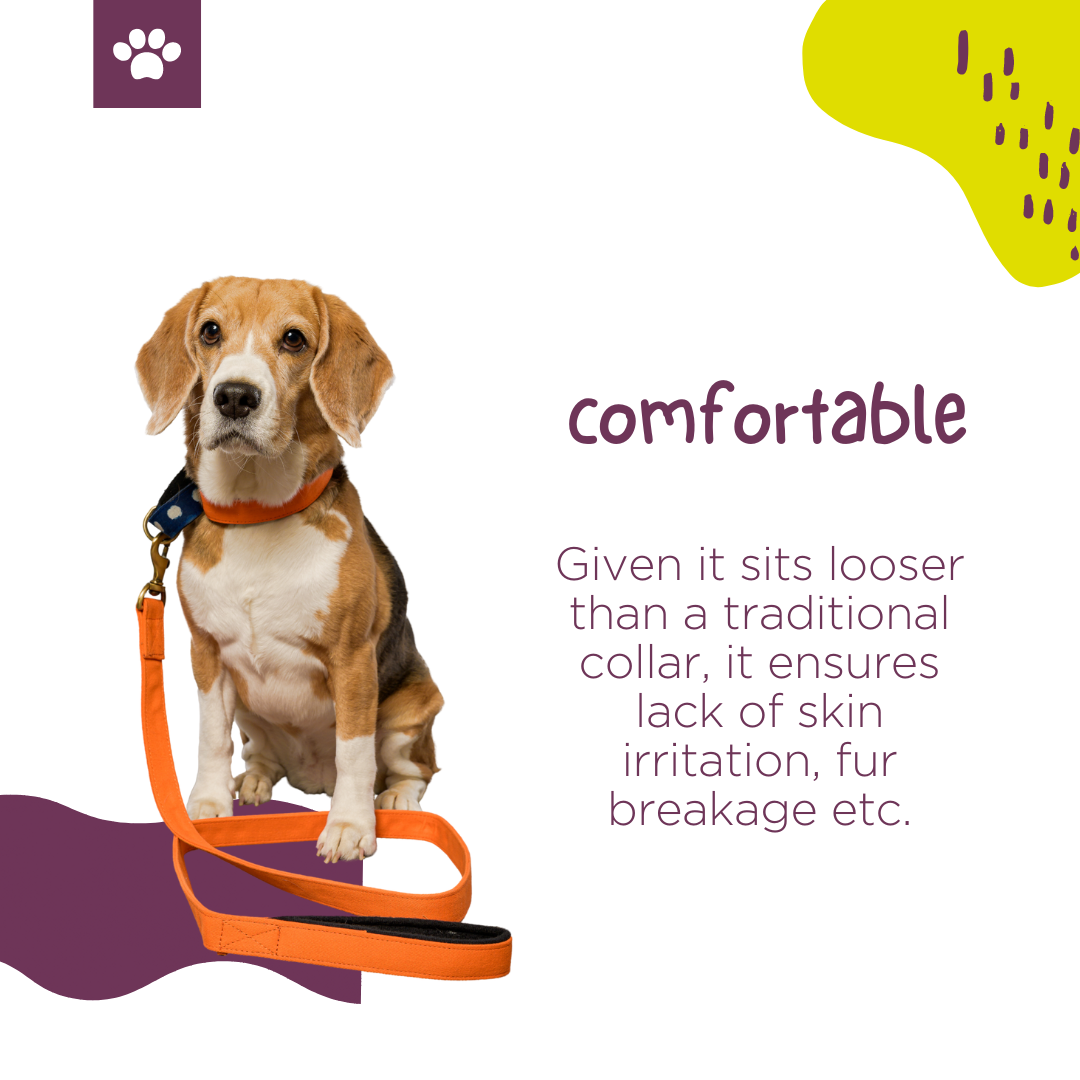 Orange Fabric Martingale Collar