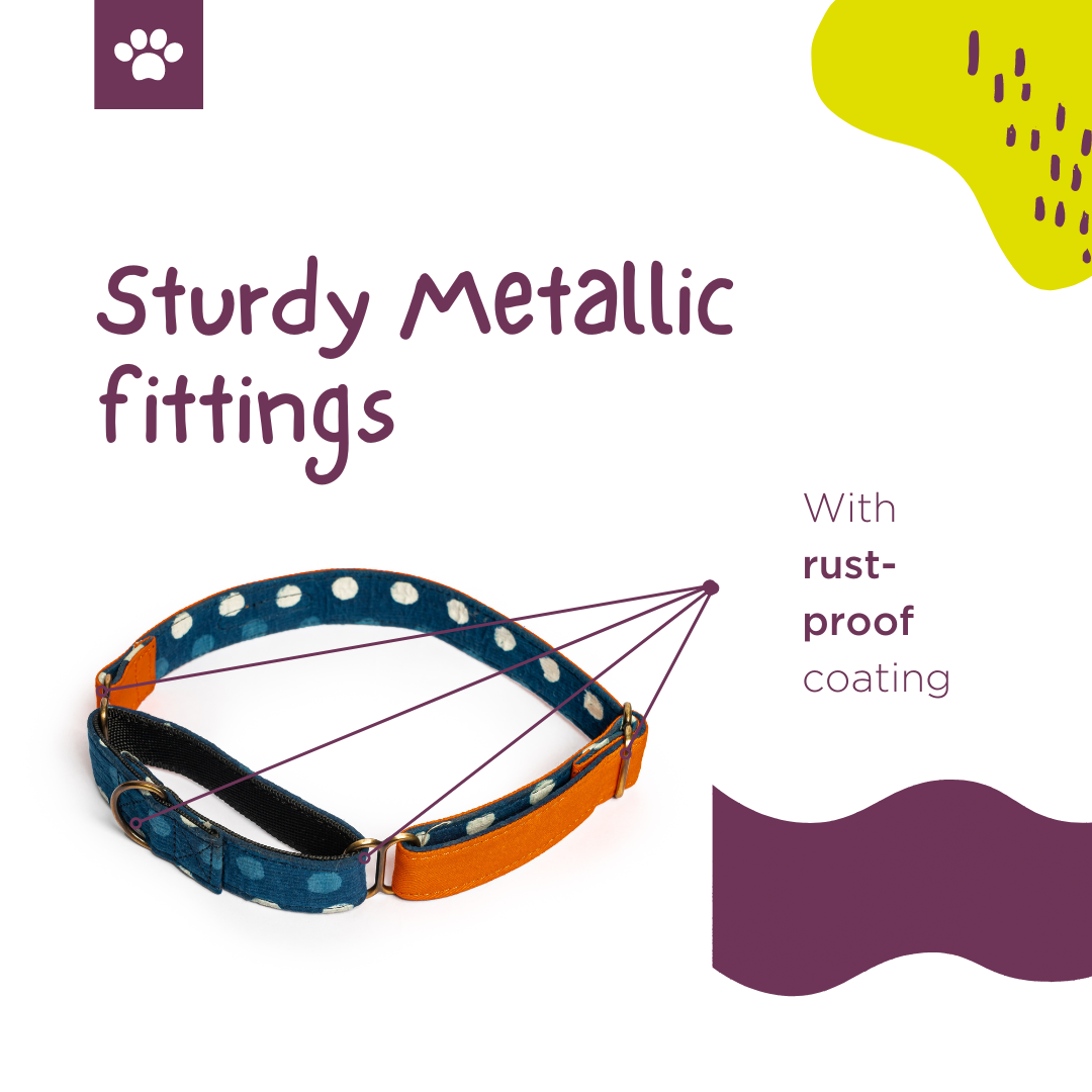 Orange Fabric Martingale Collar