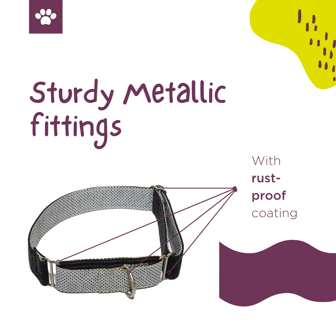 Black Denim Fabric Martingale Collar