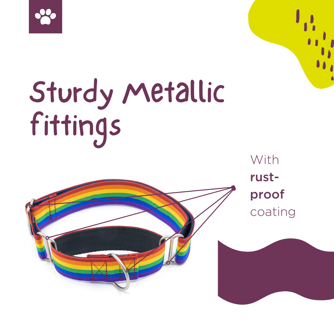 Rainbow Pride Fabric Martingale Collar