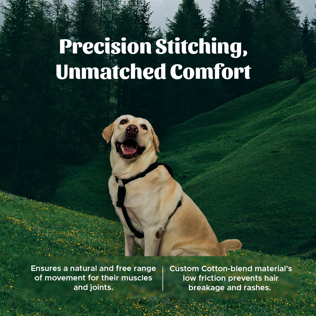 Navy Blue Cotton H-Harness