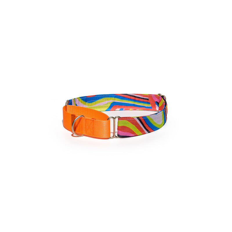 Neon Print Fabric Martingale Collar