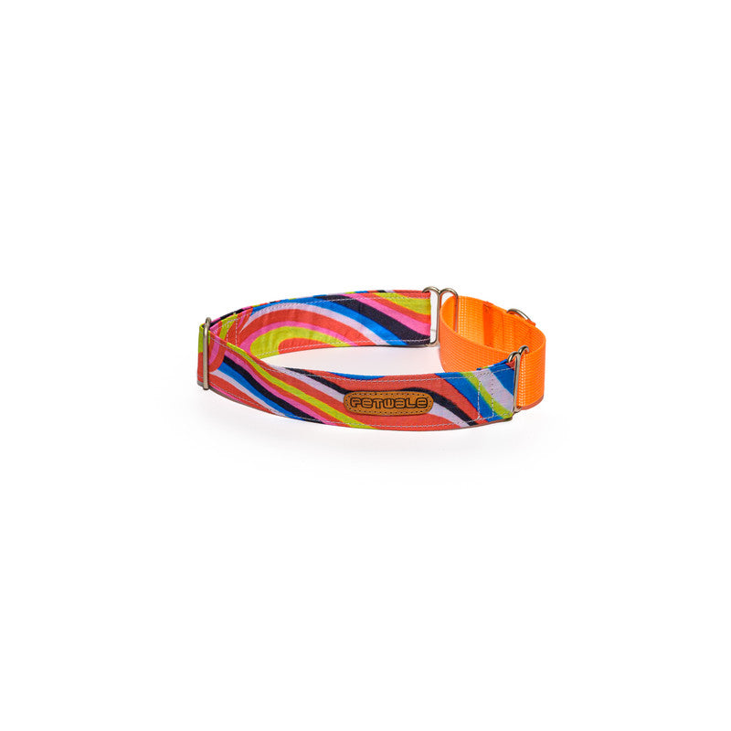 Neon Print Fabric Martingale Collar