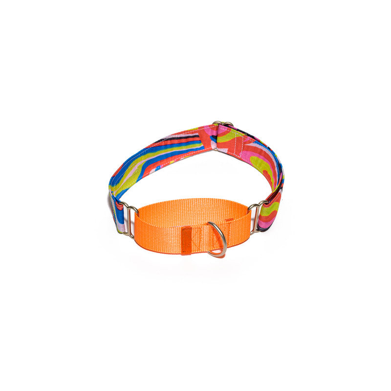 Neon Print Fabric Martingale Collar