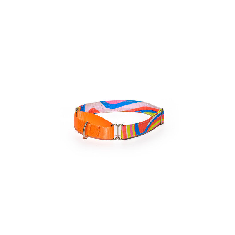 Neon Print Fabric Martingale Collar