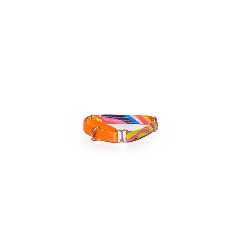 Neon Print Fabric Martingale Collar