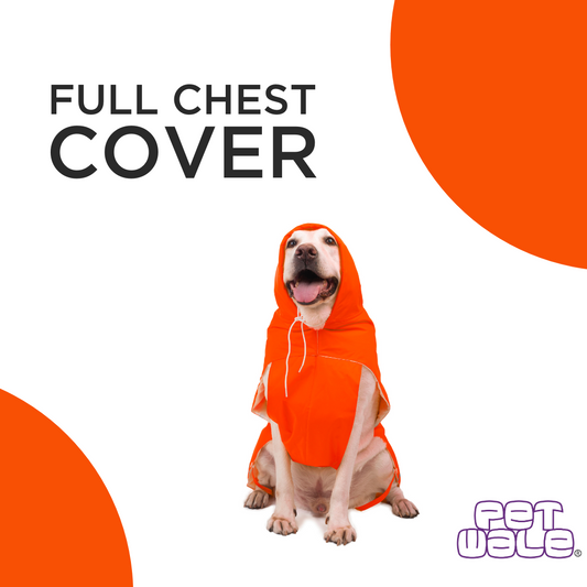 Orange Raincoats with Reflective Strips