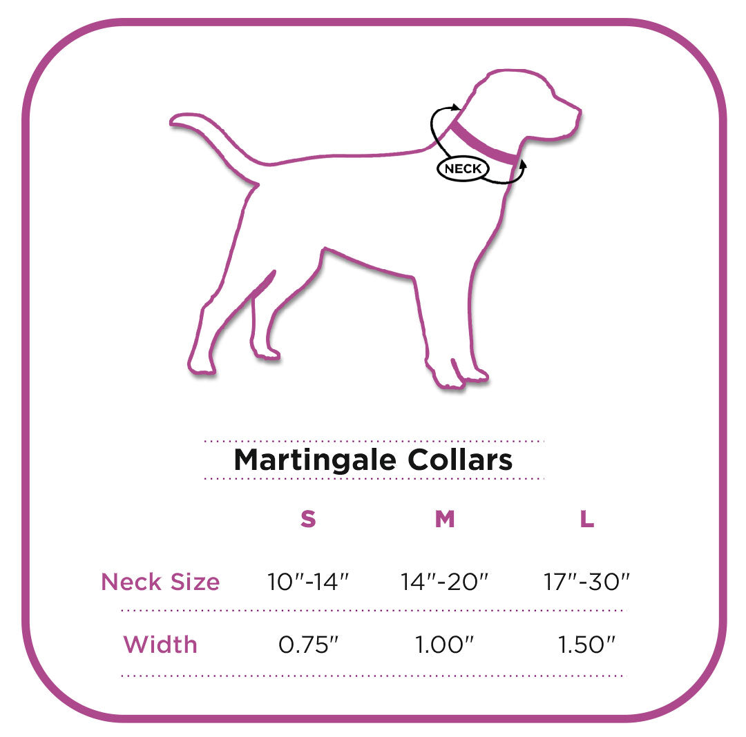 Neon Print Fabric Martingale Collar