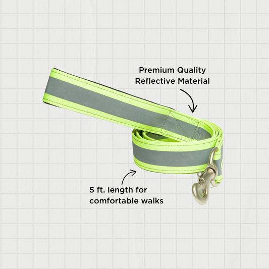Reflective Green Nylon Leash with padded handle