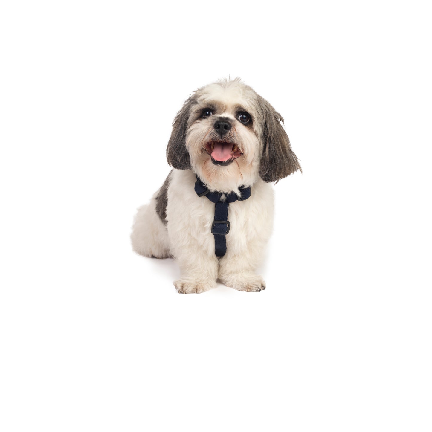 Navy Blue Cotton H-Harness