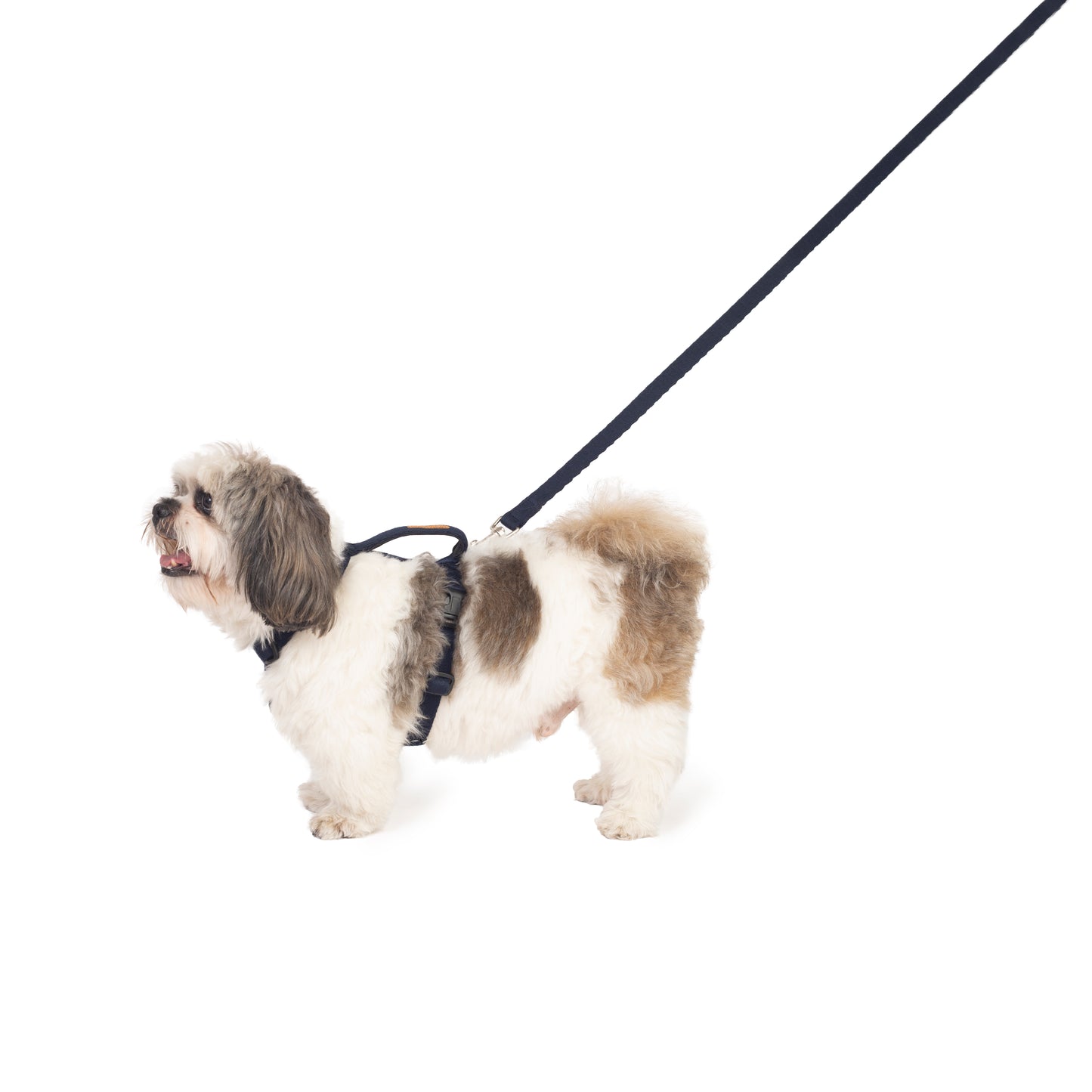Navy Blue Cotton H-Harness