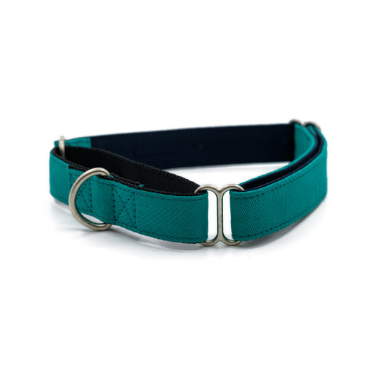 Turquoise Martingale Collar