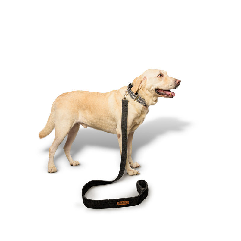 Black Denim Fabric Leash with padded handle