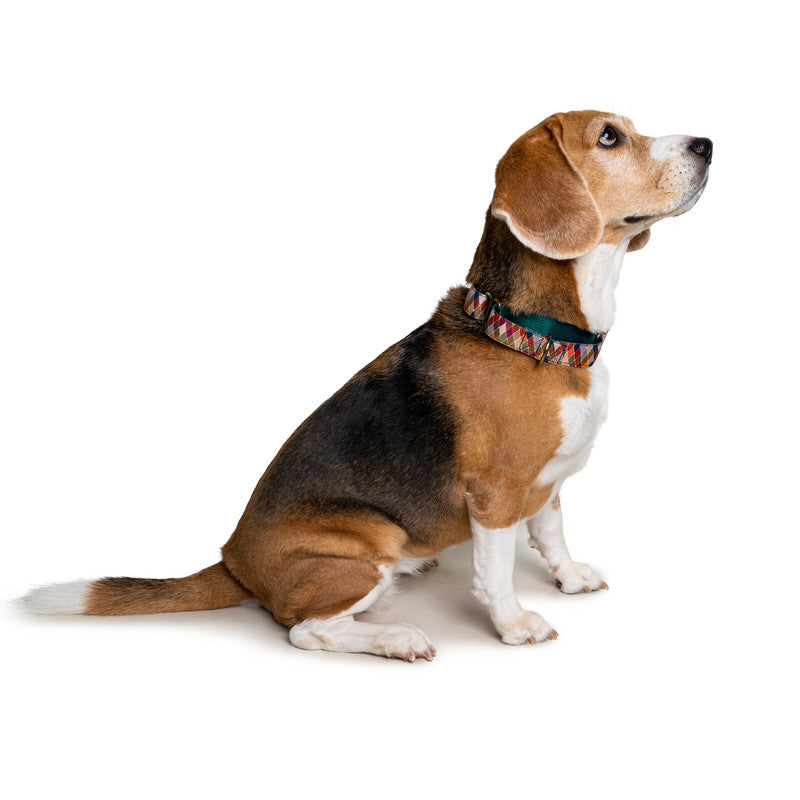 Diamond Nylon Martingale Collar