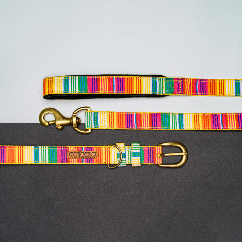 Belt Collar and Leash with Padded Handles