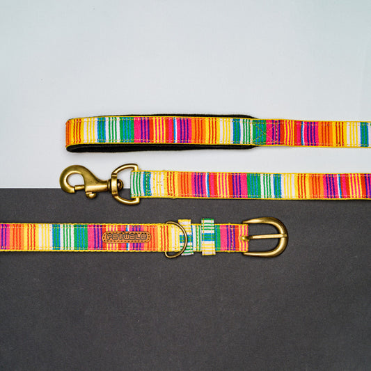 Colourful Stripes Nylon Belt Collar and Leash with Padded Handle
