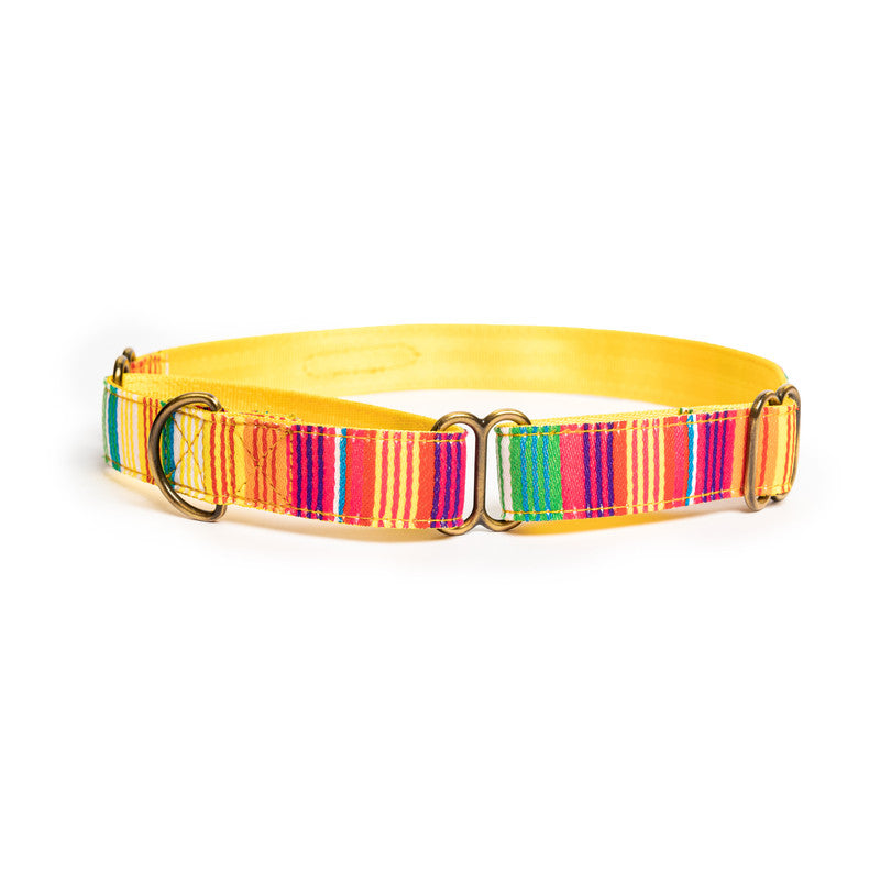 Colourful Stripes Nylon Martingale Collar