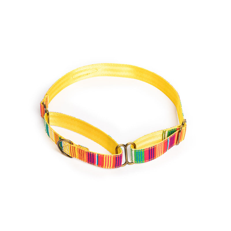 Colourful Stripes Nylon Martingale Collar