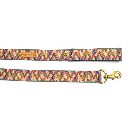 Diamond Nylon Leash with padded handle