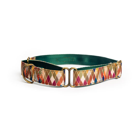 Diamond Nylon Martingale Collar