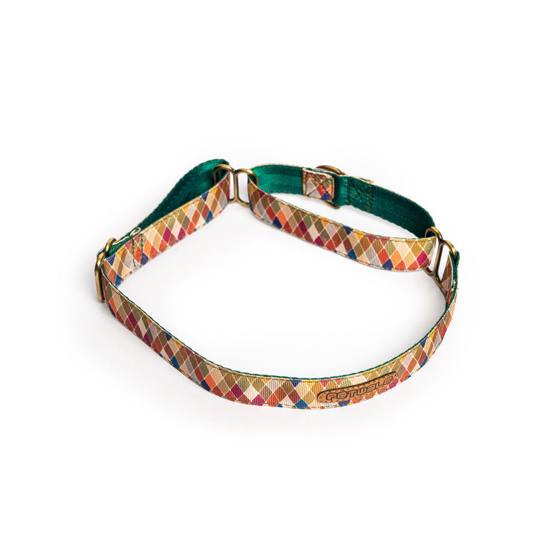 Diamond Nylon Martingale Collar