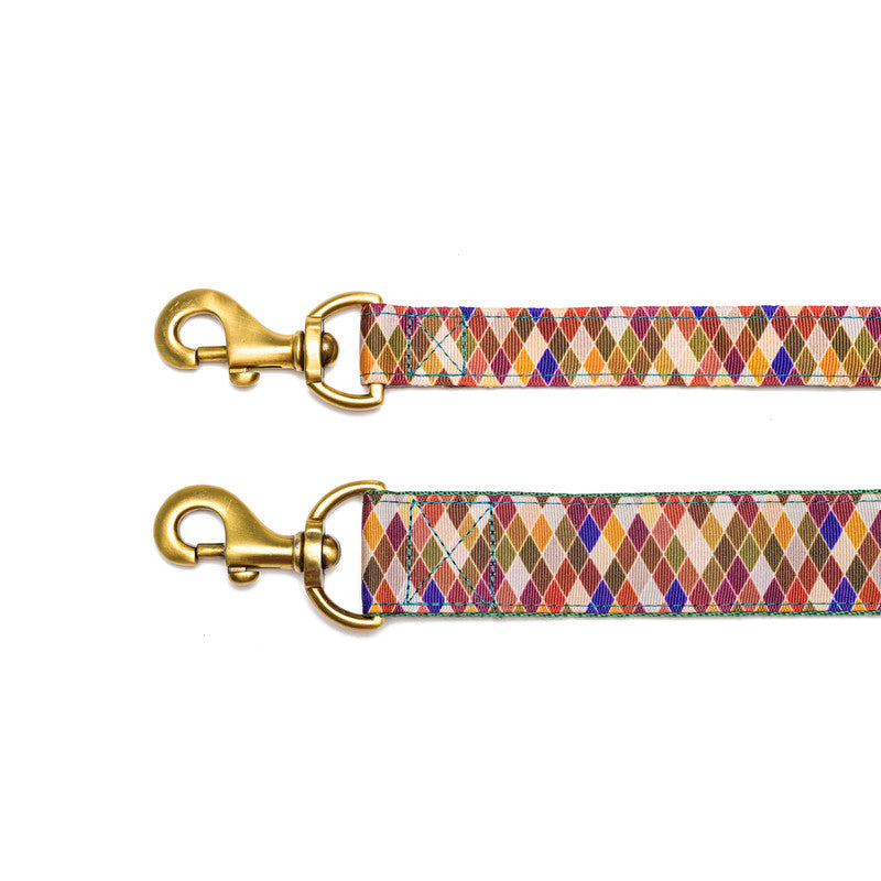 Diamond Nylon Leash with padded handle