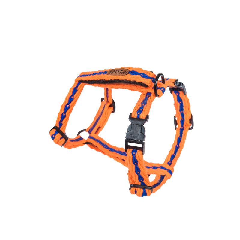 Orange with Blue Cotton H-Harness