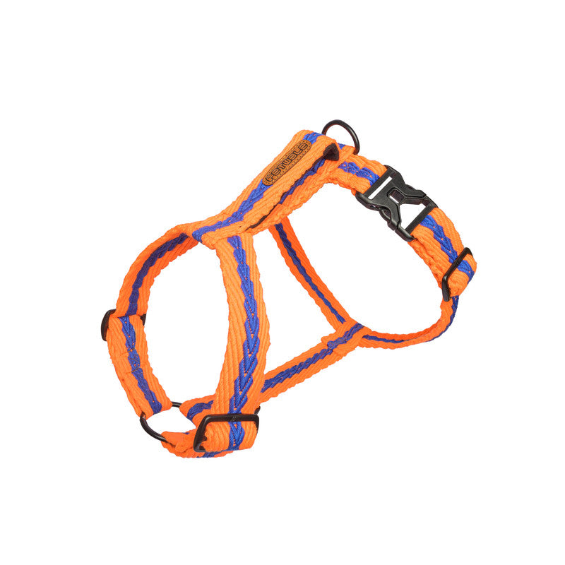 Orange with Blue Cotton H-Harness