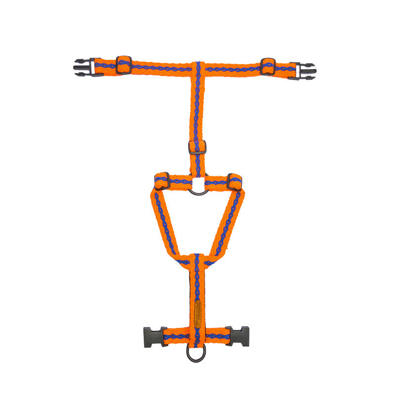 Orange with Blue Cotton H-Harness