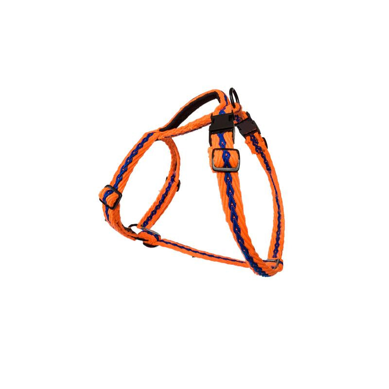 Orange with Blue Cotton H-Harness