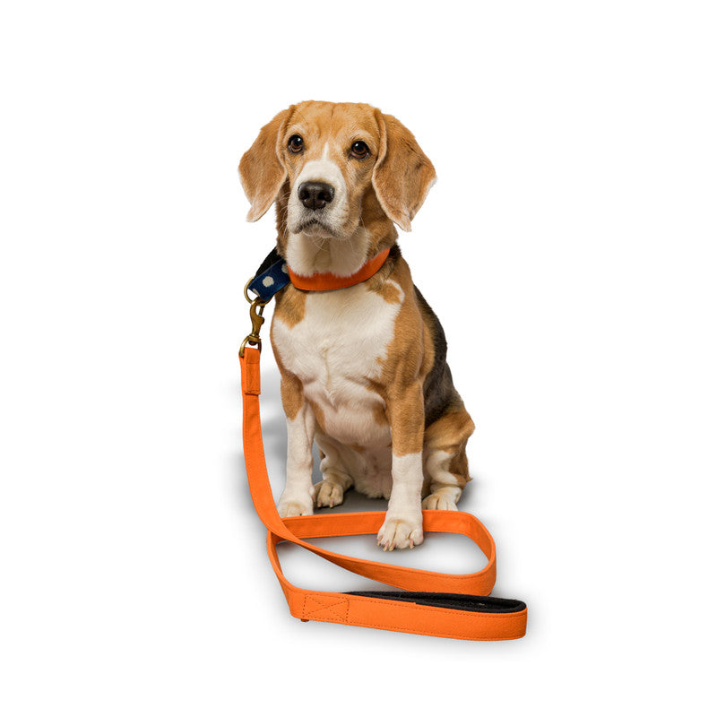 Orange Fabric Leash with padded handle