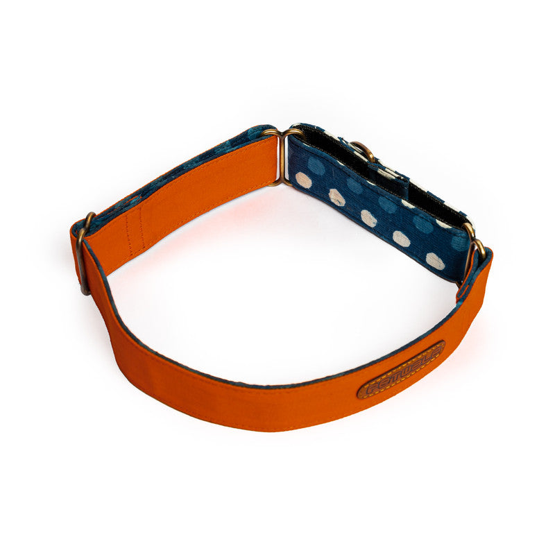Orange Fabric Martingale Collar