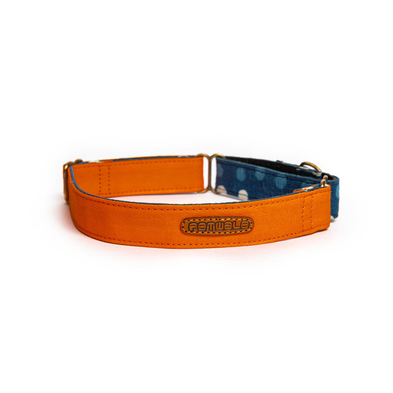 Orange Fabric Martingale Collar