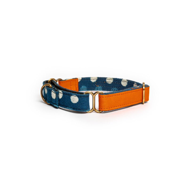 Orange Fabric Martingale Collar