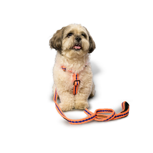 Cotton Orange Leash with padded handle