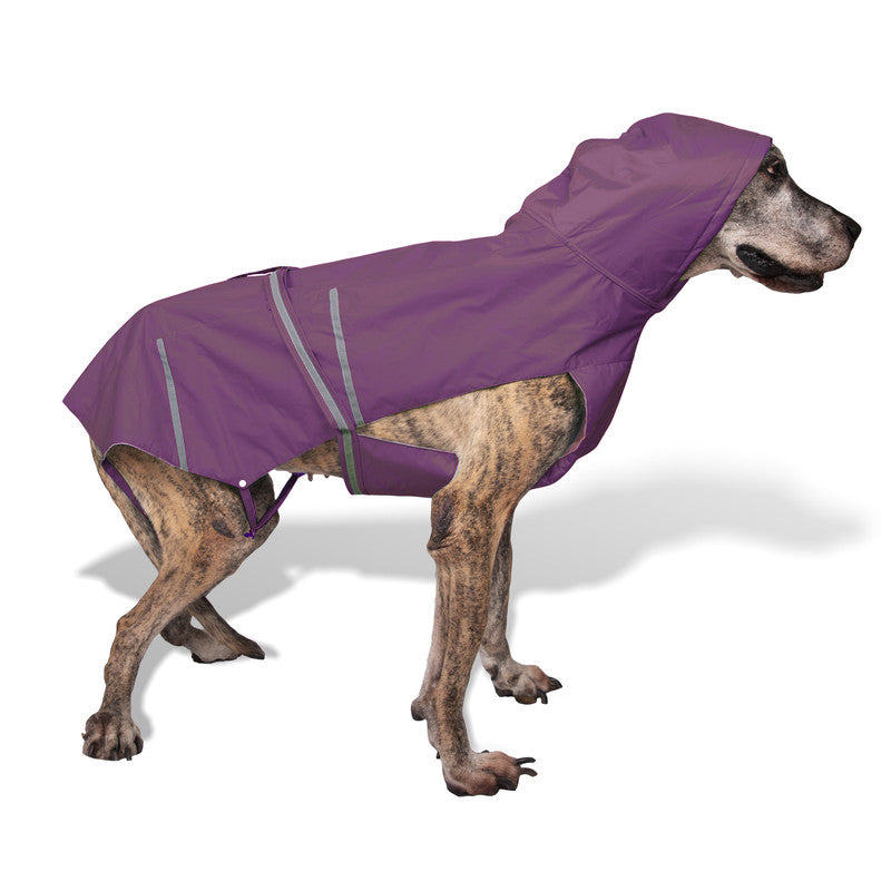 Purple Raincoat with Reflective Strips