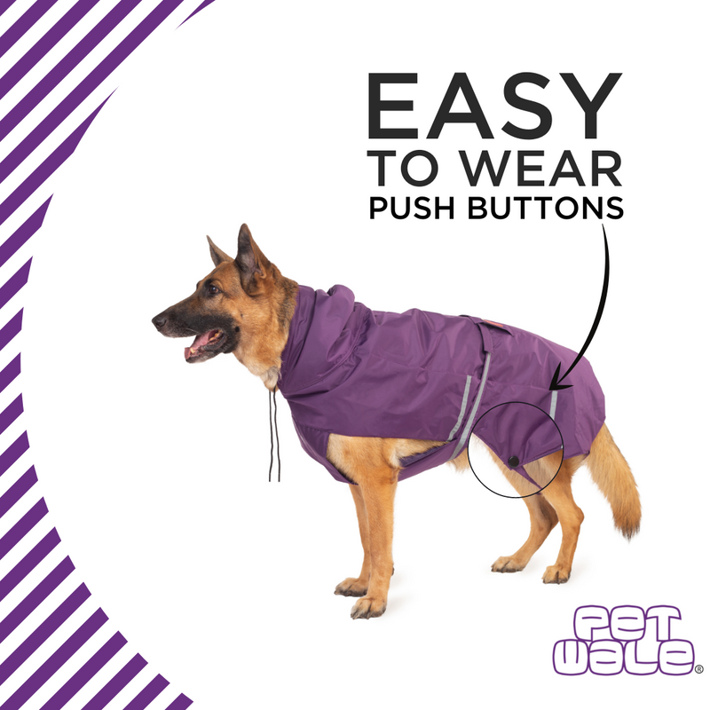 Purple Raincoat with Reflective Strips