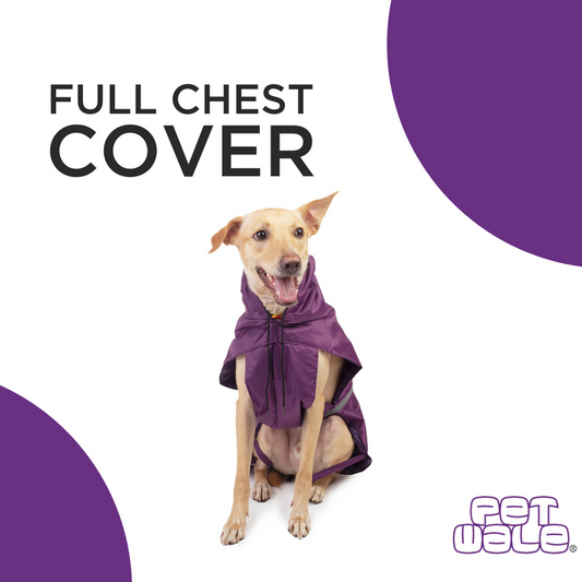 Purple Raincoat with Reflective Strips