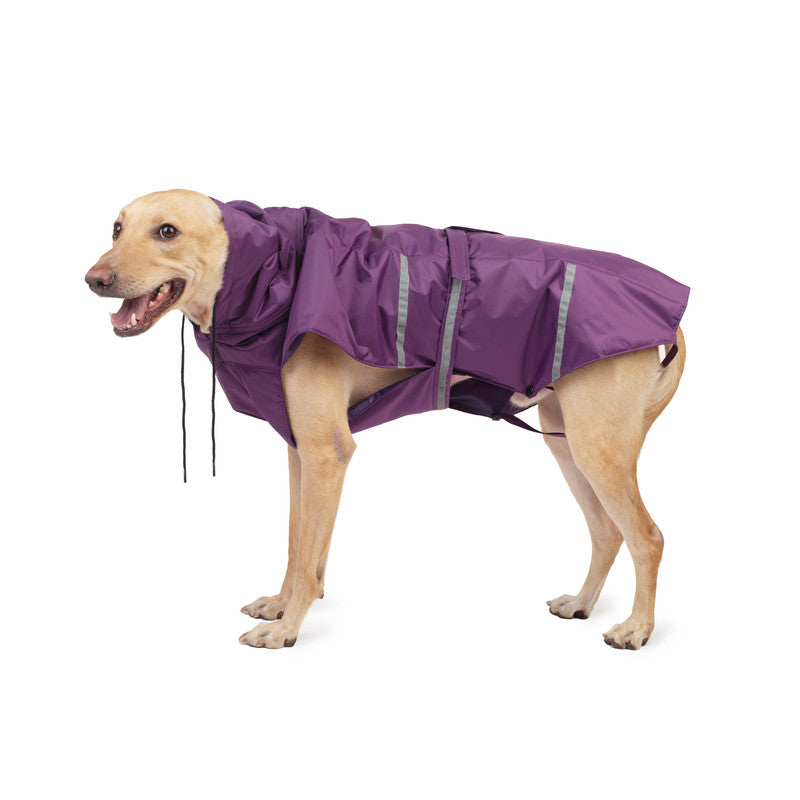 Purple Raincoat with Reflective Strips