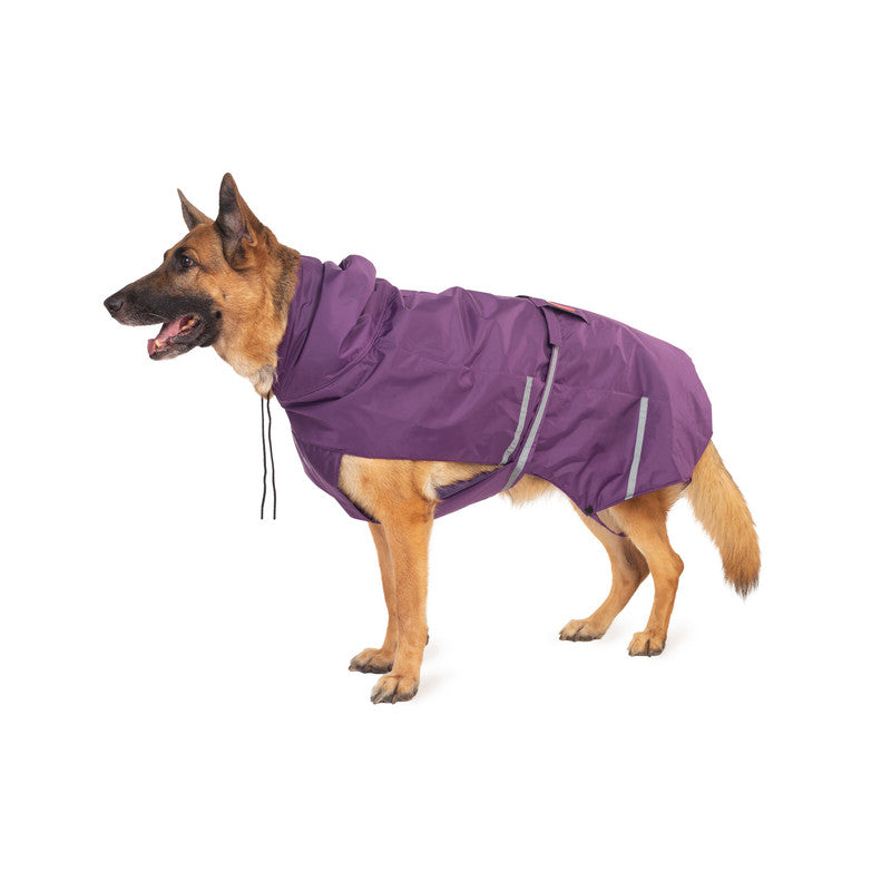 Purple Raincoat with Reflective Strips
