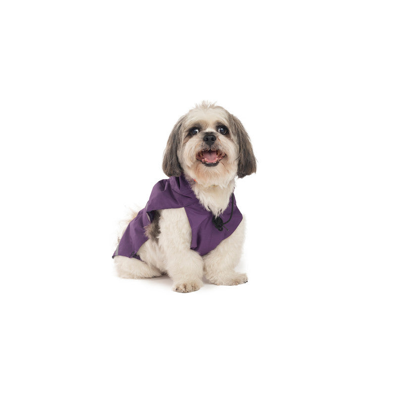 Purple Raincoat with Reflective Strips