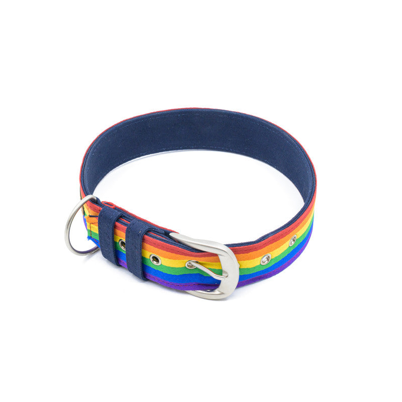 Rainbow Pride Fabric Belt Collar