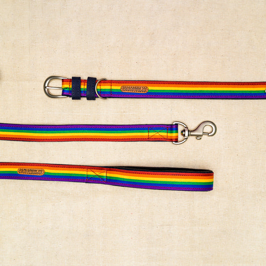 Rainbow Pride Fabric Belt Collar and Leash with Padded Handle