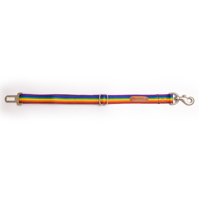 Rainbow Pride Car Seat Belt