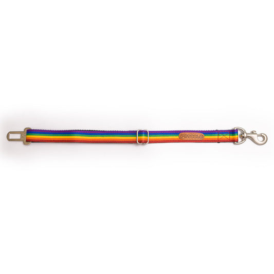 Rainbow Pride Car Seat Belt