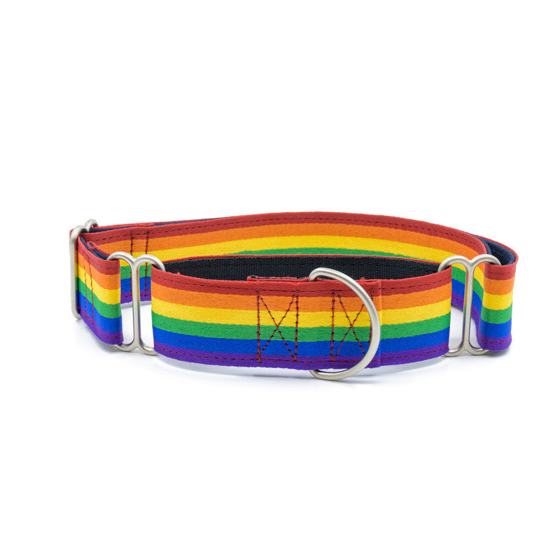 Rainbow Pride Fabric Martingale Collar