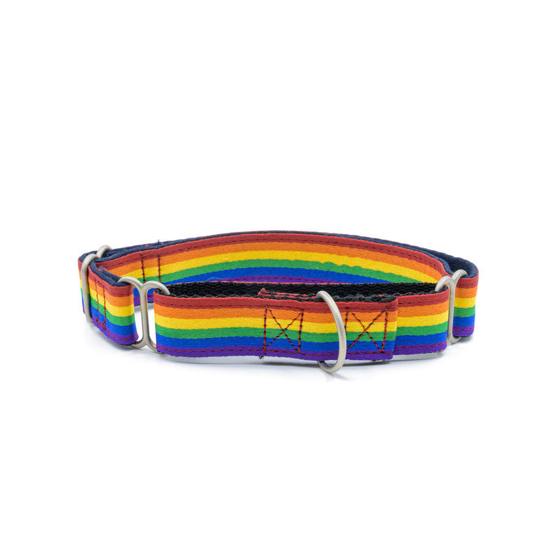 Rainbow Pride Fabric Martingale Collar